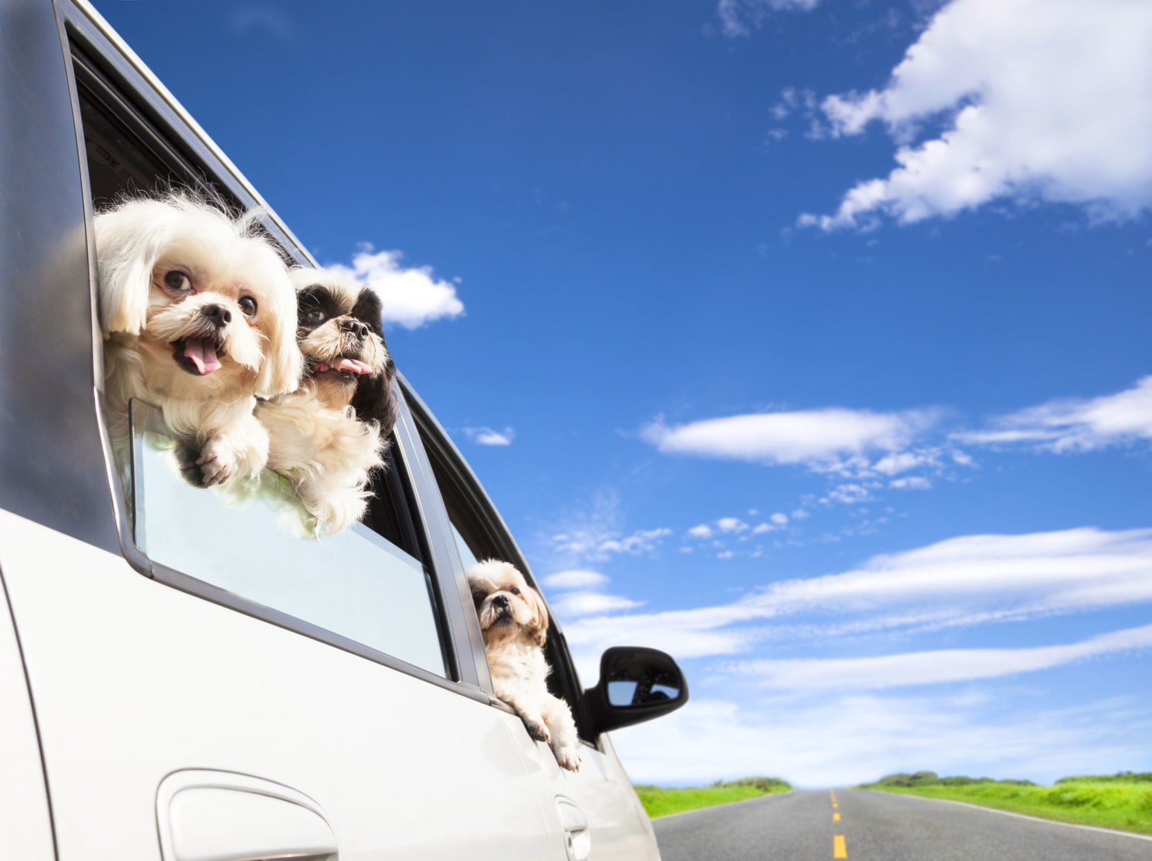 Pack up the car